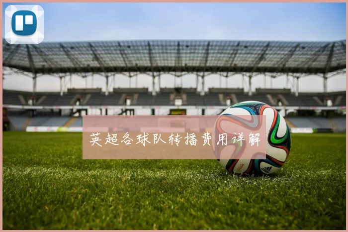 英超各球队转播费用详解