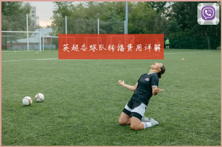 英超各球队转播费用详解